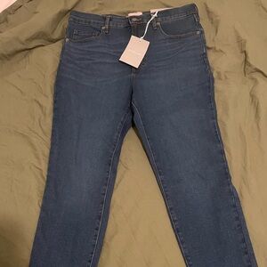 Everlane Deep Blue Skinny Jeans